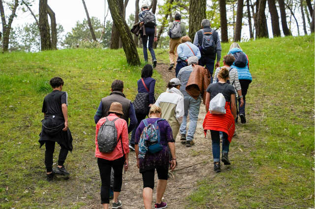 Visite guidée - Grande balade 