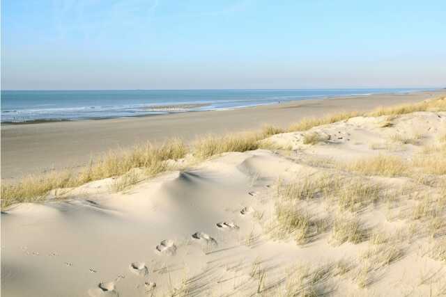 Dans les coulisses des dunes d'Ecault