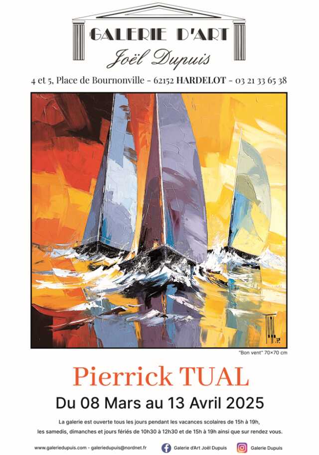 Exposition des œuvres de Pierrick TUAL à la galerie Dupuis -