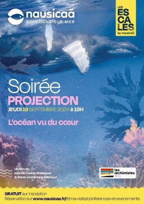 Soirée projection - 