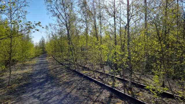 Balade au fil de l'histoire... un site minier niché au cœur de ses richesses naturelles