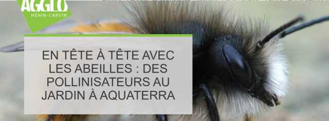 En tête à tête avec les abeilles : des pollinisateurs au jardin à Aquaterra