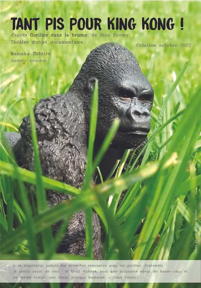 Tant pis pour King Kong