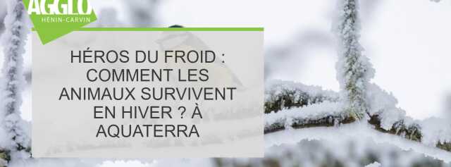 Héros du froid : comment les animaux survivent en hiver ? A Aquaterra